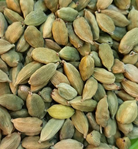 عکس عطاری طبیب ( شعبه یک )