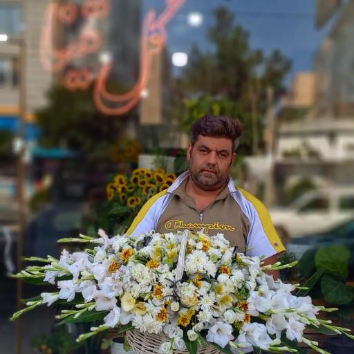 عکس گل تینا