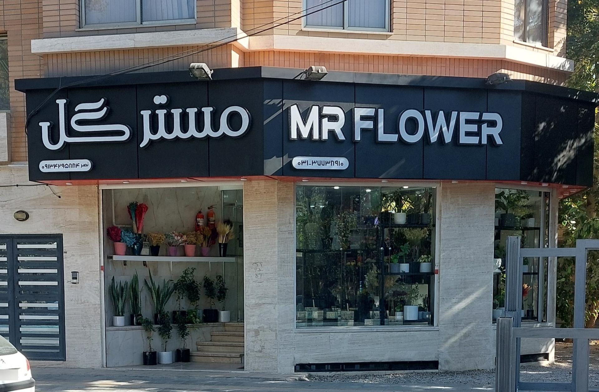 عکس مِستر گُل