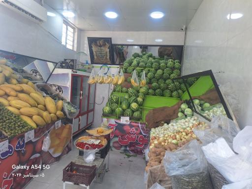 عکس هایپر میوه امیرخان