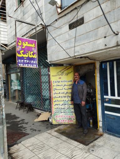 مسعود مکانیک