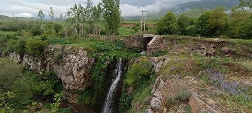 عکس گوار