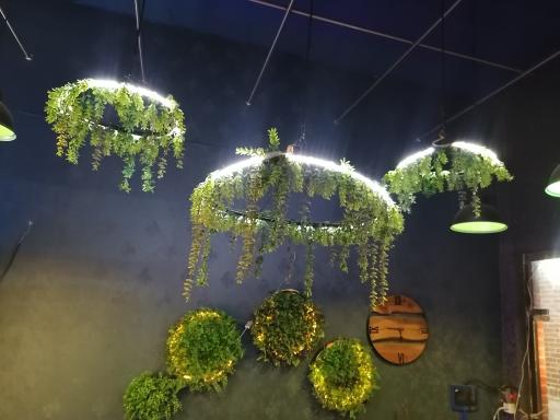 عکس کافه پیتار