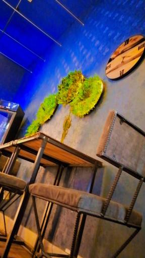 عکس کافه پیتار