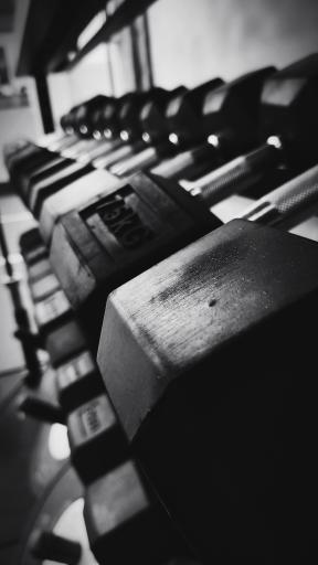 باشگاه ورزشی 308