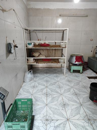 عکس مرغ فروشی معراج