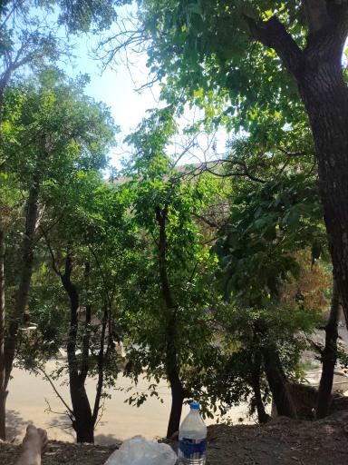عکس رودخانه 