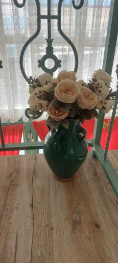 عکس غذای خانگی سیروگ