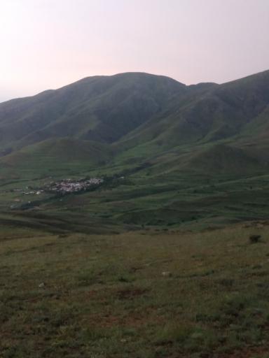 عکس گوار
