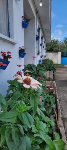 عکس اقامتگاه ویلایی شمعدونی (اتاقک)