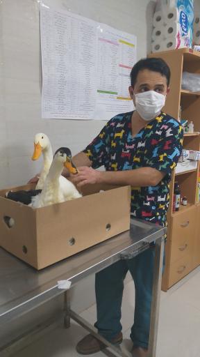 عکس بیمارستان دامپزشکی مهر