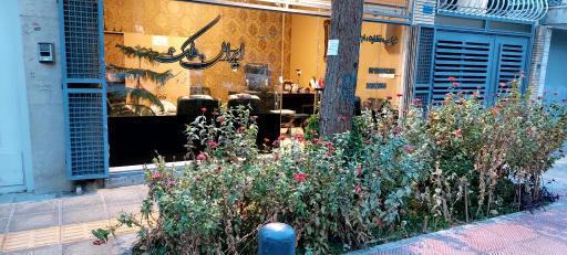 عکس مسکن ایران ملک