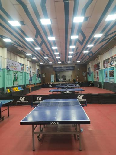 عکس باشگاه تنیس روی میز قهرمانان