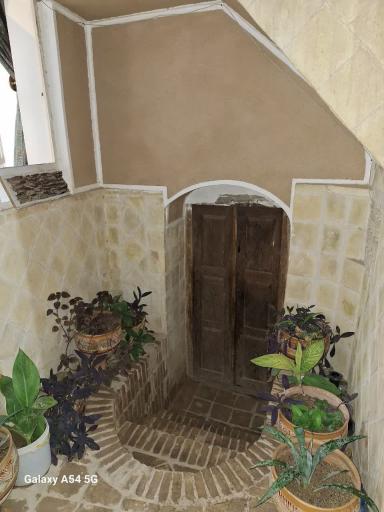 عکس بوم برگر