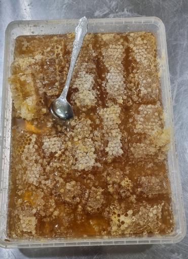 عکس صبحانه سرای عمو صفر