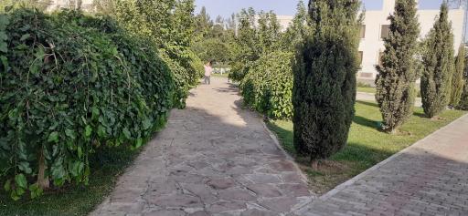 عکس بوستان ولیعصر