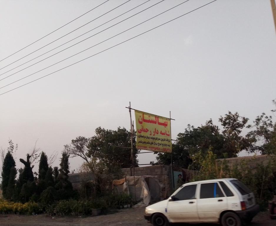 عکس نهالستان رحمانی