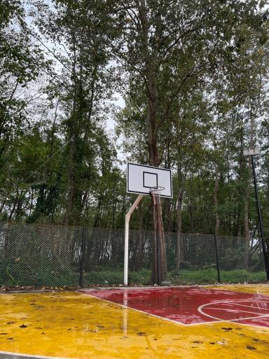 عکس پارک ملت