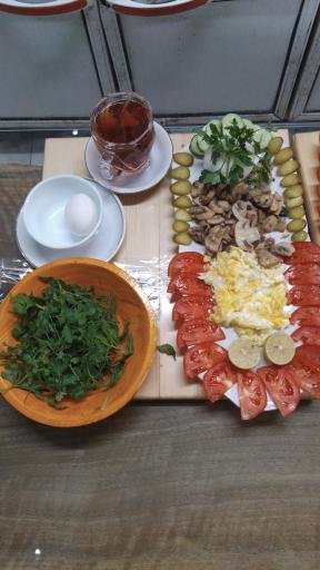 عکس رستوران جنگل شیشه ای