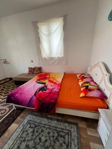 عکس بوم گردی عمو ابراهیم