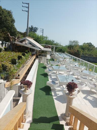 عکس رستوران جنگل شیشه ای