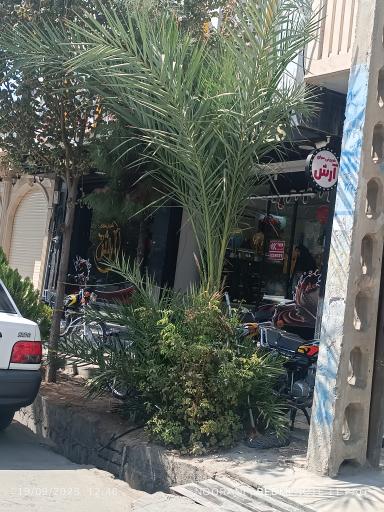 عکس شیرینی آرش