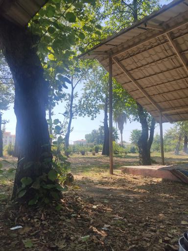 عکس پارک ملت