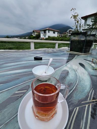 عکس رستوران جنگل شیشه ای
