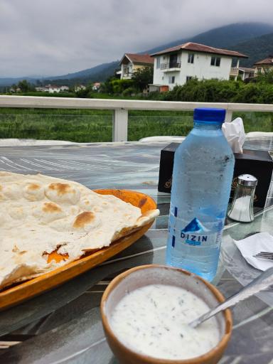عکس رستوران جنگل شیشه ای