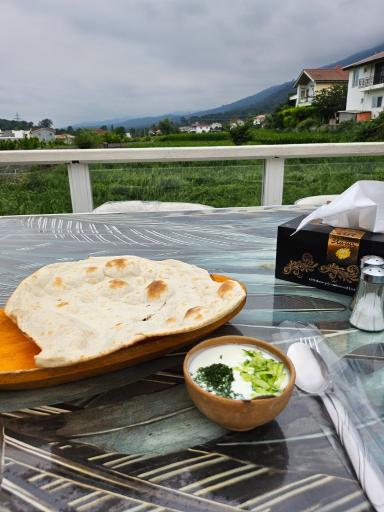 عکس رستوران جنگل شیشه ای