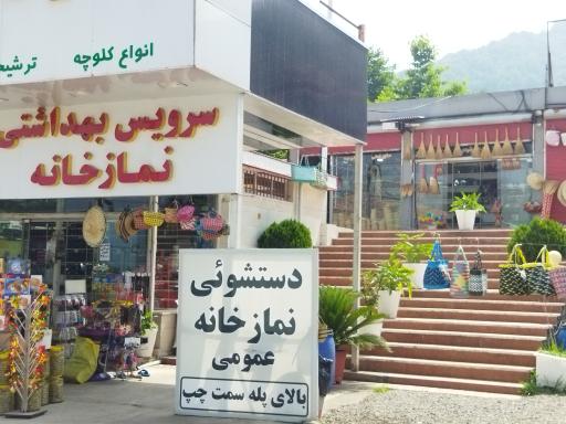 عکس زیتون داوود رشیدی