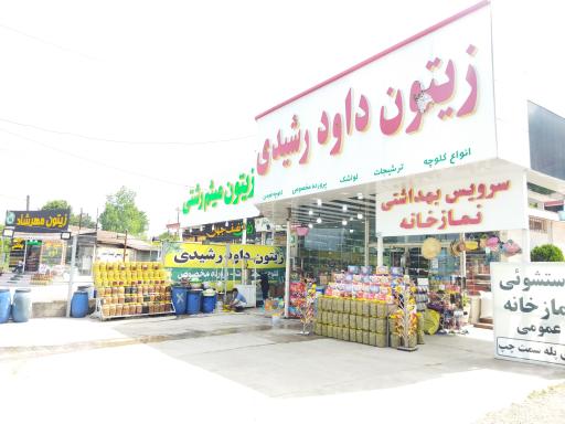 عکس زیتون داوود رشیدی