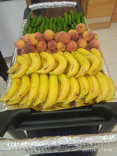 عکس تالار پذیرایی لاله