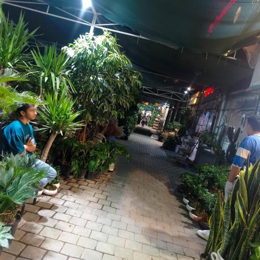 عکس بازار گل خیام مشهد