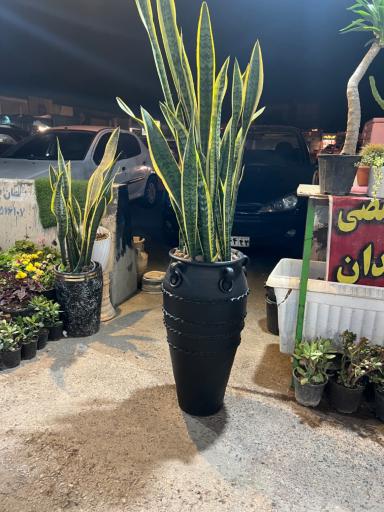 عکس بازار گل خیام مشهد