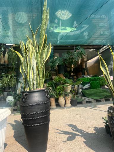 عکس بازار گل خیام مشهد