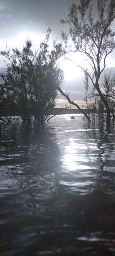 عکس سد خاکی رودک