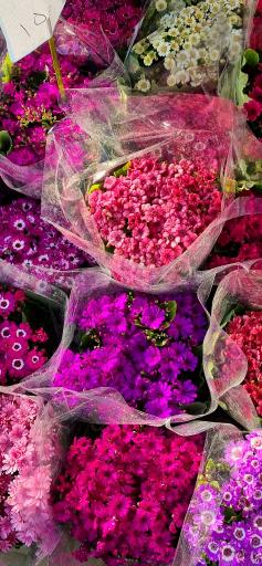 عکس بازار گل خیام مشهد