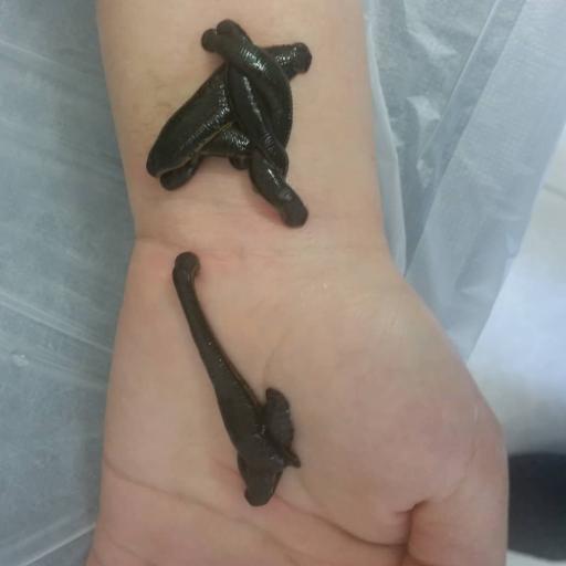 عکس مطب طب سنتی و طب سوزنی دکتر مرتضی ترابی