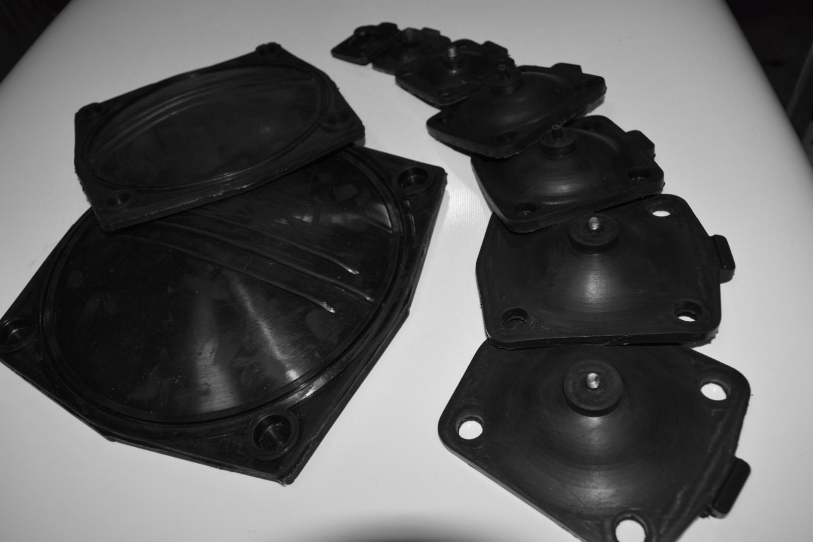 عکس لاستیک ققنوس