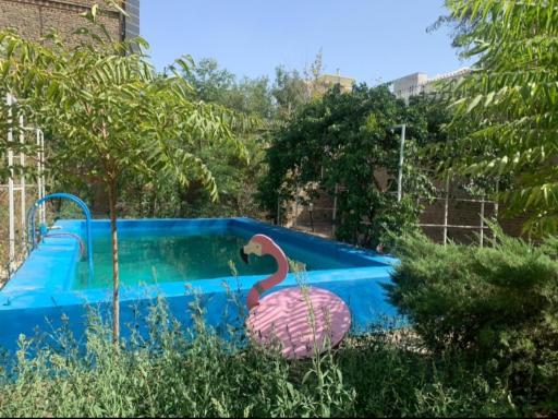 عکس سالن مطالعه دخترانه نخبگان vip