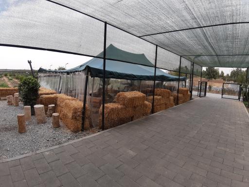 عکس کافه اوپلا