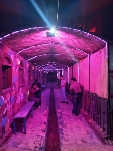 عکس باغ تالار نیاوران 