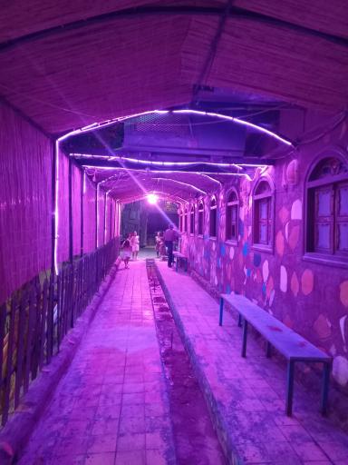 عکس باغ تالار نیاوران 