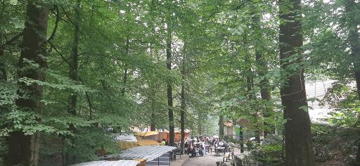 عکس کافه رستوران خط دو تله کابین نمک آبرود