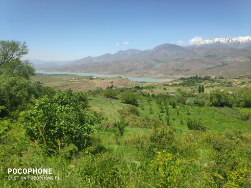 عکس اردوگاه شهید طالقانی