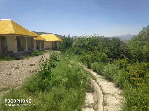 عکس اردوگاه شهید طالقانی