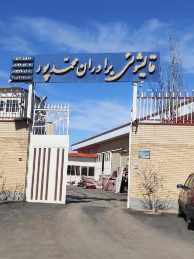 عکس قالیشویی برادران محمدپور