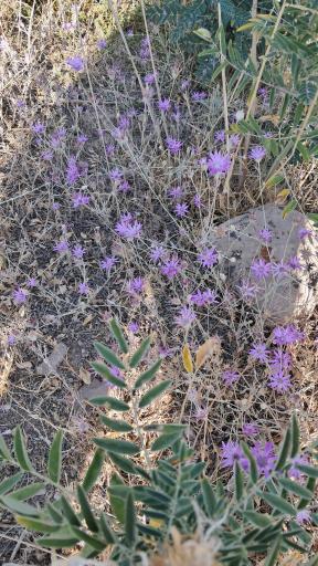 عکس اردوگاه شهید طالقانی