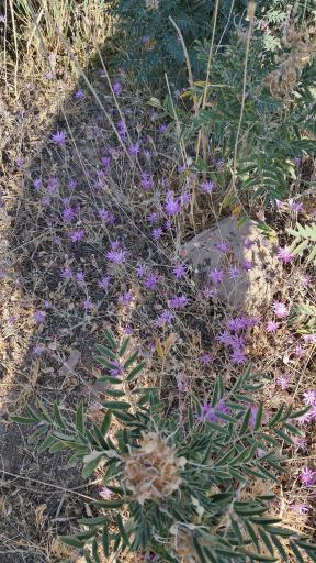 عکس اردوگاه شهید طالقانی